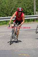 25886 photo